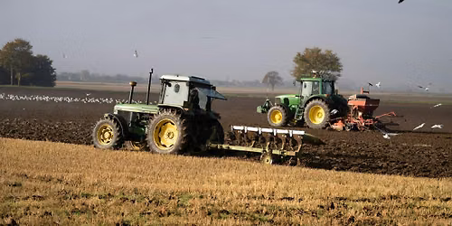 Looking after peat soils in the Fens - is new farming needed?