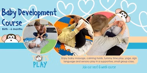 6 week Baby Development Course