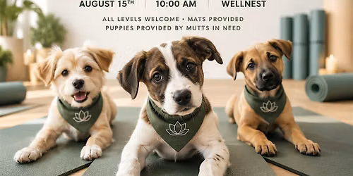 Puppy Yoga at Wellnest