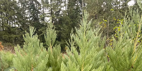 End of Fall 10% Off Sale