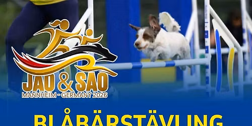 Bl\u00e5b\u00e4rst\u00e4vling Agility \u2013 Gunilla och Bella ska till Senior VM!
