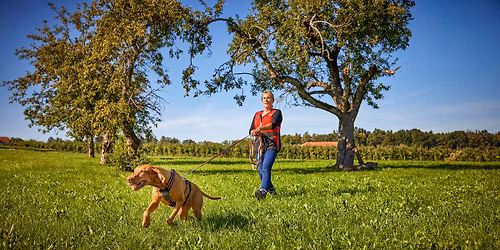 City-Forest-Indoor Mantrailing