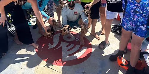 Surface Interval Drinks! 