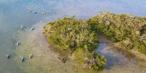 Paddling Film Festival in Sarasota, FL