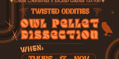 Owl Pellet Dissection Class PART 2