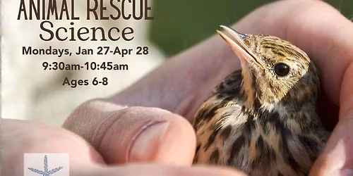 HOMESCHOOL: HABITAT DESIGN