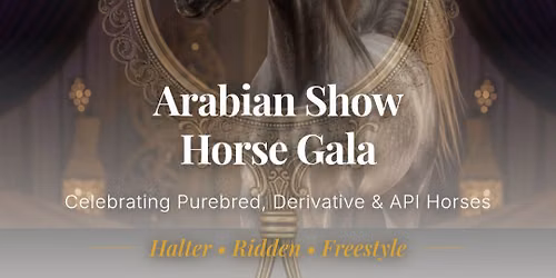Arabian Show Horse Gala 2026