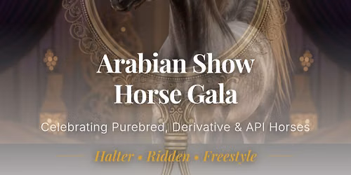 Arabian Show Horse Gala
