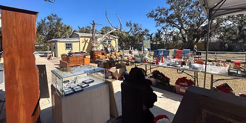 Live Auctions Are Back