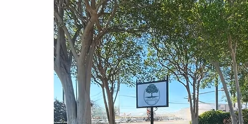 Big Treezy Giveaway for Jefferson Parish Residents