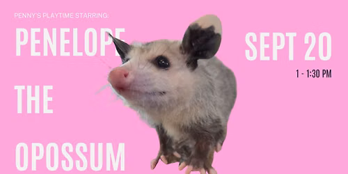 PENNY'S PLAYTIME STARRING: Penelope the opossum