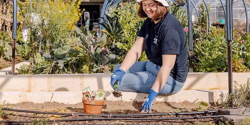 Composting and Worm Farming Workshop