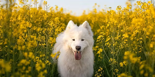 Saturday Group Class