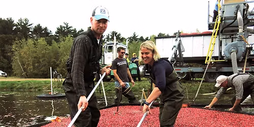Become a Cranberry Bogger: Experience a Day on the Farm
