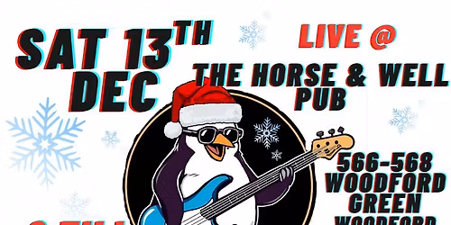 Ghost Penguins live @ The Horse And Well woodford Green