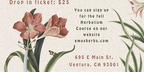 Herbal Energetics with Lisa Gotwals