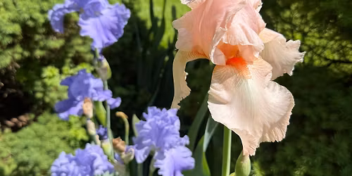 Spring Plant Sale! Native Plants and More!