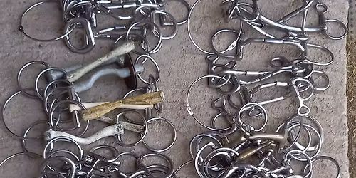 Bit and Bridle fitting Clinic at Barton in Fabis Equestrian Centre NG11 0AA