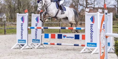GOUDEN LAARS TURNHOUT @ DENA STABLES