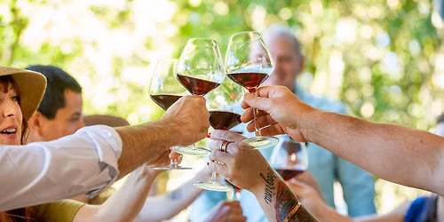 Wine Tasting at Grapetown Vineyard