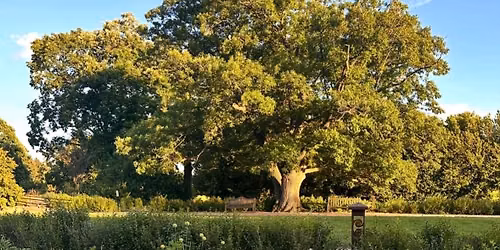 Burnin\u2019 for Boerner Botanical Gardens