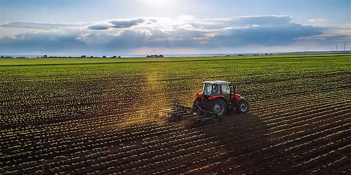 The First International Post COVID-19 Conference on Food Security