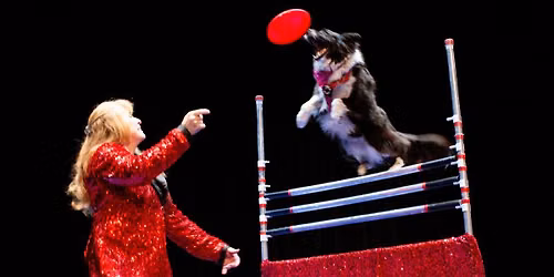 Cirque De Canines - Eventeny