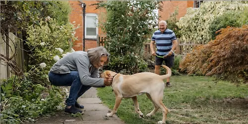 Puppy Pawz - Guide Dogs Meet & Greet