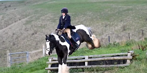 Draghound Meet - Milton Hill