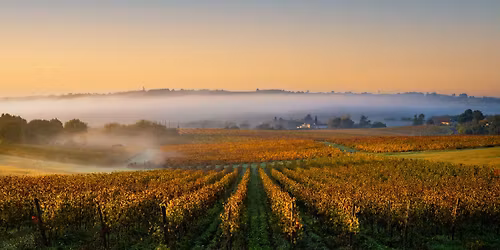 7 Days in Burgundy