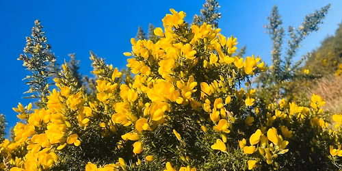 Clear Skies Kite Community Launch