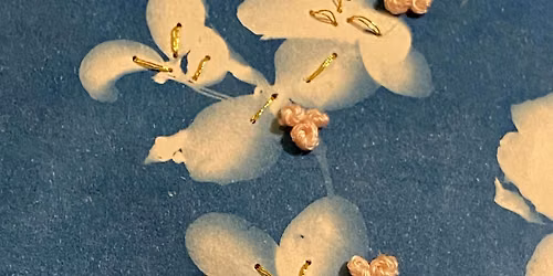 Exploration with Cyanotype