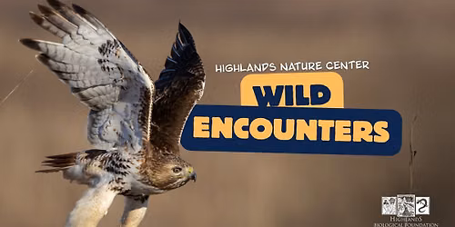 Wild Encounters