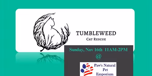 Cat Adoptions - Tumbleweed Cat Rescue
