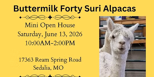 Pacas, Pups, & Pictures at Buttermilk Forty Suri Alpacas