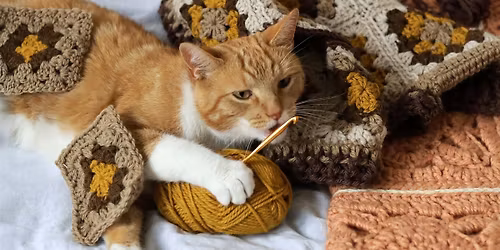Crochet Workshop: Cat Toy