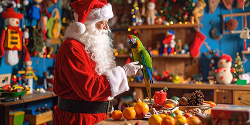 Mikul\u00e1s buli \u00e9s az \u00e9v utols\u00f3 ny\u00edlt napja