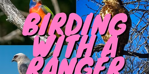 Birding With a Ranger