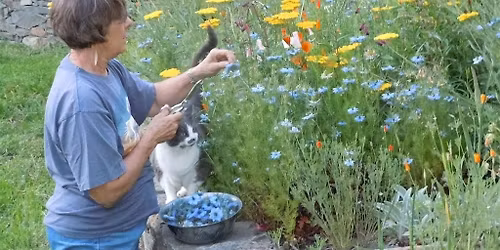 Copy of Fresh Pressed Flower WORKSHOP