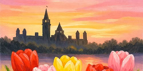 Blooming Tulips of Ottawa