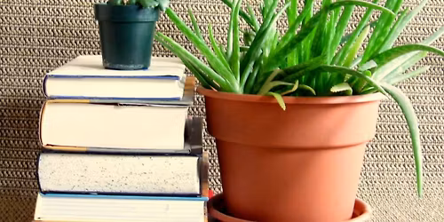 Plant and Book Sale