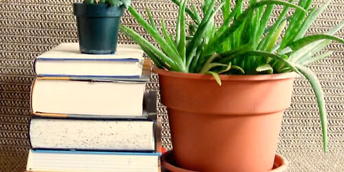 Plant and Book Sale