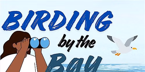 Birding By the Bay
