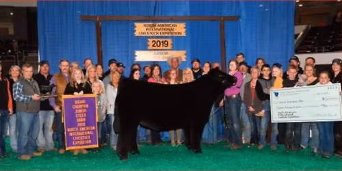 2025 ULTRA Elite Female Sale