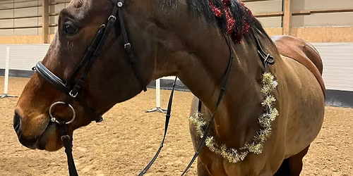 H\u00e4stloppis i J\u00e4llaskolans ridhus