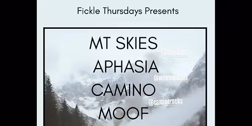 Camino Playing Live!