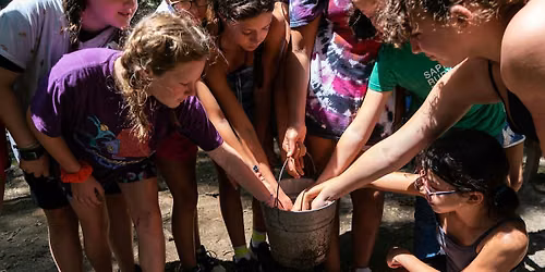 Experience Girl Scouts at our Daisy Discovery Party!
