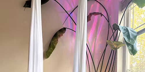 Float + Fiction: Aerial Silks Book Club