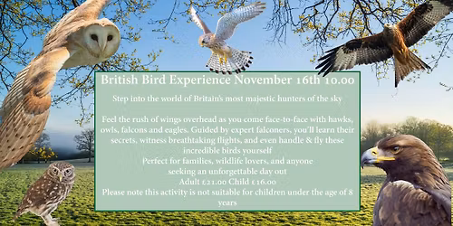 British Bird Experience