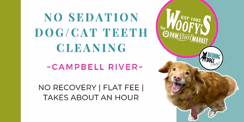 Dog & Cat Teeth Cleaning - Campbell River